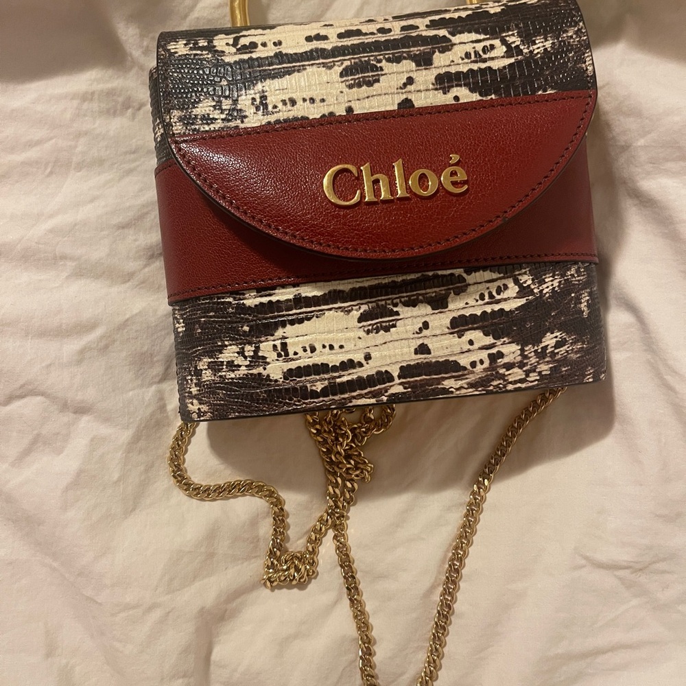 Chloe Mini Bag with Gold Handle - Picture 6 of 14